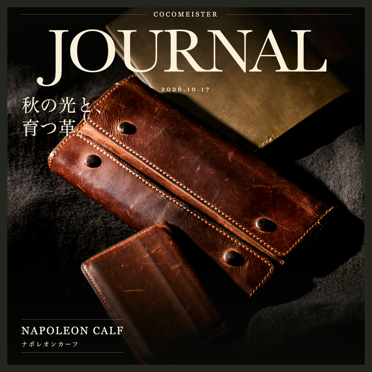 秋の光と、育つ革。 JOURNAL表紙