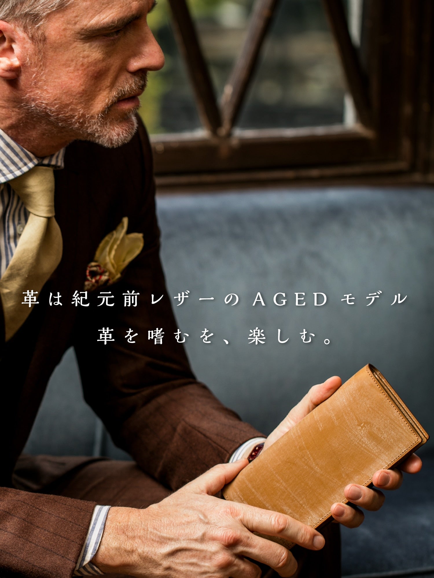 タイムスリップAGEDモデル