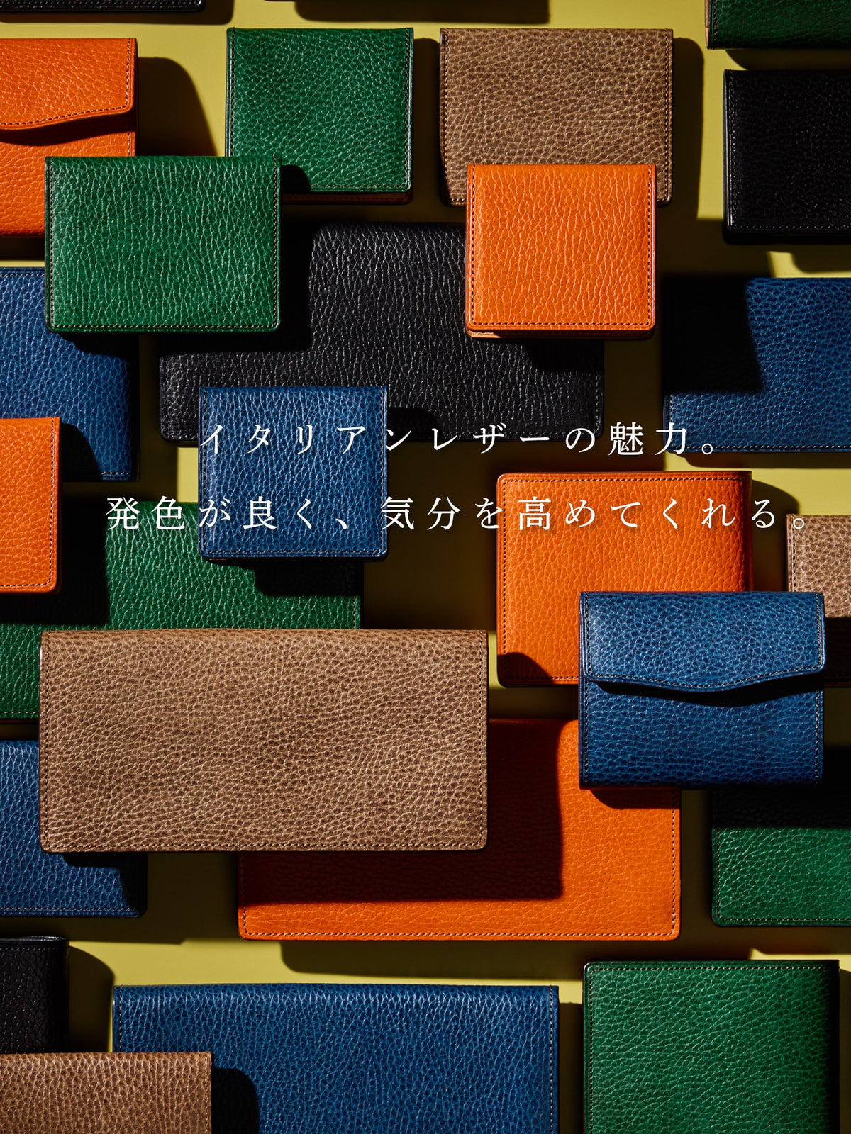 フィレンツェ マードレ section 09