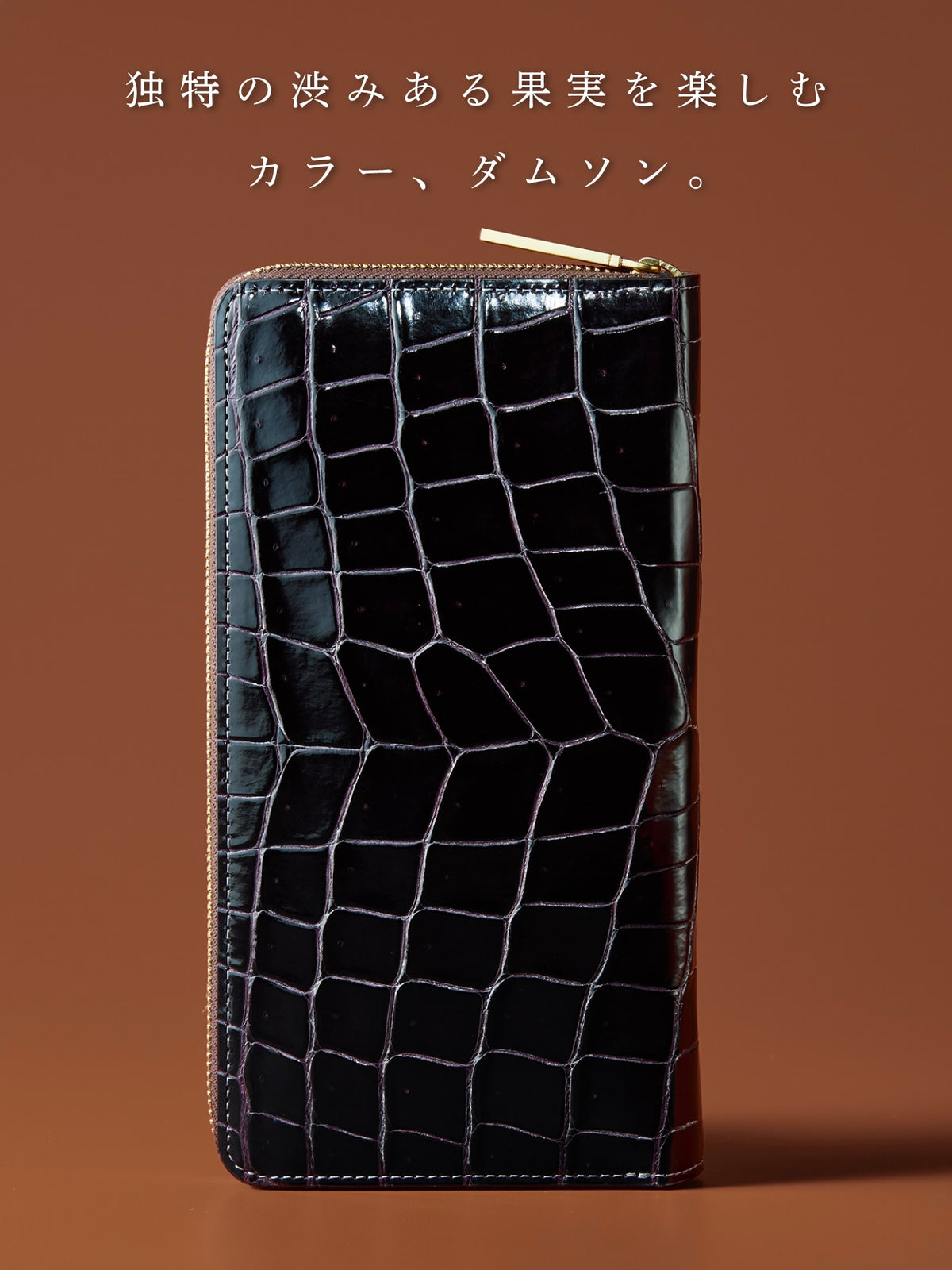 クロコダイル ジムクラック 05