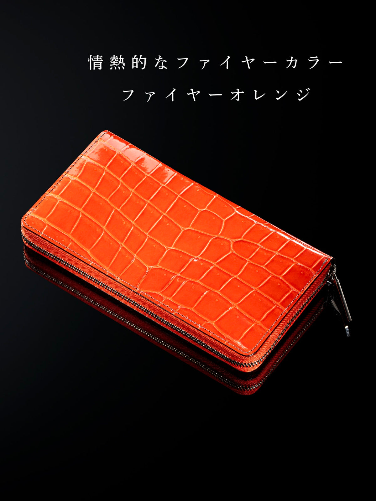 クロコダイル ジムクラック 08