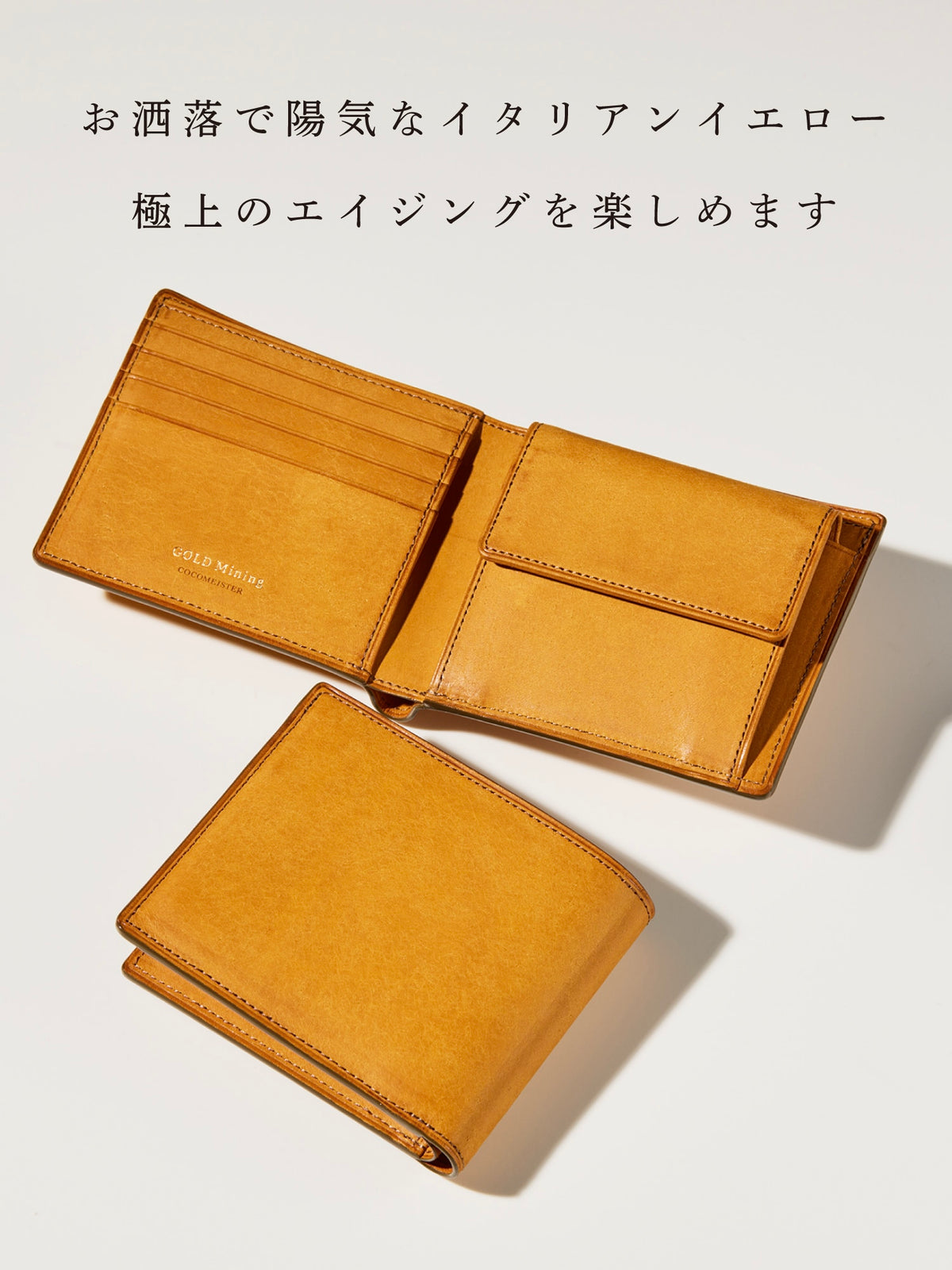 ゴールドマイニング エクスプローション 10