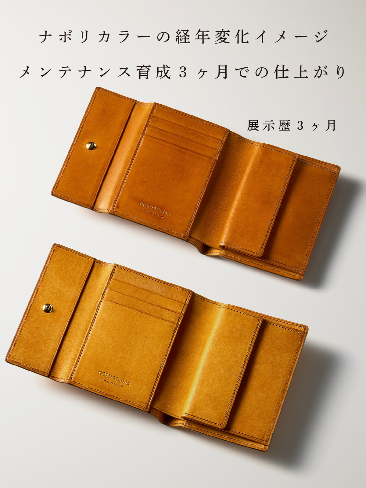 ゴールドマイニング ミネラル 10